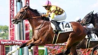 中央復帰で衝撃Ｖのハルオーブがファイナリスト入り　村上卓史オーナー「こんなキャリアの馬がぬいぐるみになるのも…」