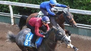 【東海Ｓ】４連勝中の上り馬ドラゴンテイラーは坂路で力強い動き　５１秒７マークに坂井瑠星騎手「悪くないと思います」
