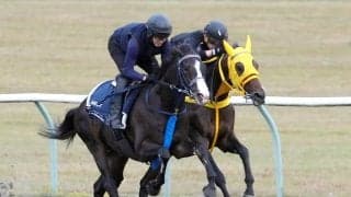 打倒！カランダガンへマスカレードボールが万全の仕上がり！　手塚貴久調教師も「いい動きができたな」と納得の表情