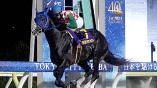 リコースパローがサンタアニタＴ優勝　矢野貴之騎手「まだまだ大きいところで頑張ってくれると思います」