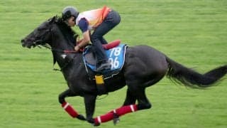 【札幌日経賞】未完の大器ミラージュナイトは札幌の芝でダイナミックに鋭伸　杉山佳調教師「よく脚も動いていました」