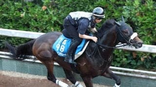 【東海Ｓ】ドンインザムードが重賞２勝目へいいムード　今野調教師「ちょうどいい追い切りができました」