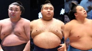 【１２日目の見所】過去の対戦成績は０勝１０敗　まったく歯が立たない霧島だが、今場所は違う　立ち合いで踏み込めば勝てる