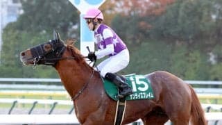 ２５年のオーバルスプリントを勝ったサンライズフレイムがＪＲＡの競走馬登録を抹消　今後は地方競馬へ移籍