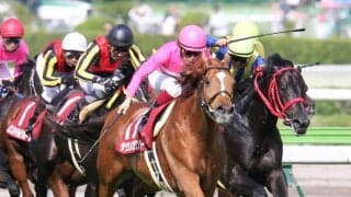 サクラメガワンダーが２３歳で死す　０９年の金鯱賞など重賞４勝　西の名門・友道厩舎の初期を支えた名優