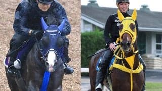 【キングジョージ】日本調教馬初Ｖ狙うマスカレードボールは４番ゲート　カランダガンは７番ゲート　昨年のジャパンＣ１、２着馬が宿命の再戦