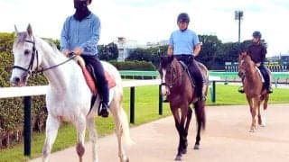 ドウデュース、イクイノックス世代のダービー１番人気　ダノンベルーガは誘導馬としてたぐいまれな才能を発揮中