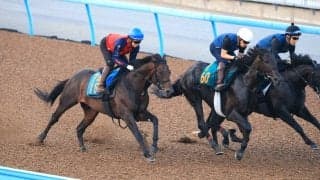 【アイビスＳＤ・１週前】千直３度目の正直！バグラダスが８１秒８の好時計　嘉藤調教師「あきらめきれないです」