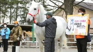 ばんえいＰＲ馬のミルキー号が２３歳で死す　ＳＮＳで追悼メッセージ続々「盛り上げてくれてありがとう」「大好きだよ」