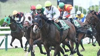 【関屋記念枠順確定】エルトンバローズは5枠7番、ダノンセンチュリーは5枠8番