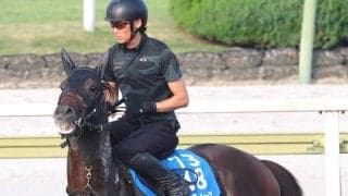 【東海Ｓ・枠順確定】昨年Ｖのヤマニンウルスと同じ馬番になった有力馬は！？　今週から中京と新潟は７Ｒがメイン