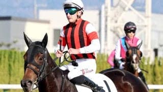【関ケ原Ｓ・金曜気配】前走３着のウインデイジーは角馬場で調整　宮調教師「このクラスでやれていいし、具合もいい」