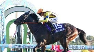 電撃引退のマイル王がスタッドイン！「夢の続きは子どもたちに」ジャンタルマンタルが社台ＳＳ到着