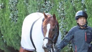 【注目馬動向】Ｇ１馬がまた新潟記念へ　２４年の菊花賞馬アーバンシックが参戦を視野に　超豪華メンバーのＧ３