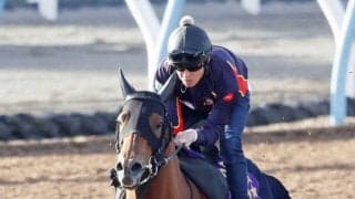 【注目馬動向】フェブラリーＳ連覇のコスタノヴァが左前脚球節のクリーニング手術へ