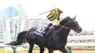 ジャンタルマンタルが競走馬登録を抹消　種牡馬となる予定の社台スタリオンステーションに到着
