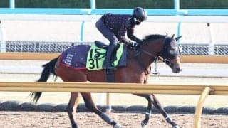 【２５日の注目・札幌４Ｒ】兄は重賞馬　弟はセレクトセールで２・５億円　良血フレッチャアズーラもう負けられない