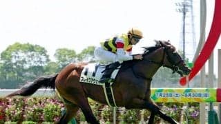 【中京２Ｒ・２歳新馬】暑熱対策で午前１０時１０分発走　ブレイクアウェイ完勝に岩田望来騎手「もっと良くなってくる」