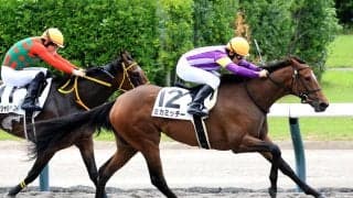 【新潟２Ｒ・２歳新馬】９番人気のミカミッチーが力強く抜け出しＶ　田中勝調教師「センスはある」