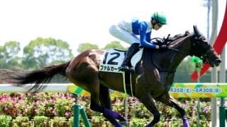 遅れてきた良血牝馬の未勝利戦圧勝にＳＮＳ「他馬とはスピードの違いで…」　ファルカータが中京で初勝利