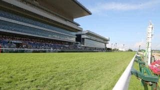 土曜新潟競馬場の注目激走馬…新潟７Ｒ新潟日報賞
