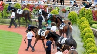 新潟の暑熱対策はパドックにトルネード式ファンを新たに４基設置　桃太郎アイス配布や日傘の貸出サービスも