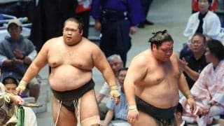 幕下優勝の行方は７人による決定戦へ　全勝だった生田目が初黒星　旭富士、三田らと千秋楽にトーナメントで争う