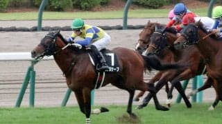 【札幌１１Ｒ・ＴＶｈ賞】ロジケープが堂々の３連勝でオープン入り　丹内祐次騎手「反応も良く強かったです」