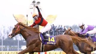 ０８年の菊花賞馬　２１歳のオウケンブルースリが免疫系の疾患で療養中　「獣医師と相談しながら、新しい治療を進めています」