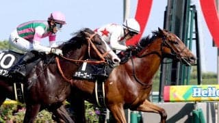 【中京７Ｒ・関ケ原Ｓ】ゴール前の競り合い制したミッキーゴールド　西村淳也騎手「暑くても馬が元気でした」