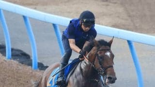 【関屋記念・特選有力馬チェック】ダノンセンチュリーは買うべき？