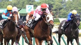 【新潟日報賞】ピコローズがメンバー最速３３秒１で快勝　田辺裕信騎手「開幕週の短距離でポジションを…」