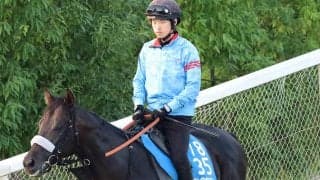 【東海Ｓ・土曜気配】重賞連勝狙うマテンロウコマンドは酷暑ＯＫ　長谷川調教師「暑さにやられている感じは一切ない」