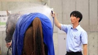 古賀大生調教師が新潟９Ｒのスコラーリ、ダノンロッキーで初出走　「支持していただいたのに、結果が伴わず申し訳ない」