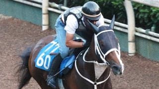 【東海Ｓ・土曜気配】前走完勝のベルジュロネットは坂路でパワフル　陣営「重賞でも楽しみの方が大きい」