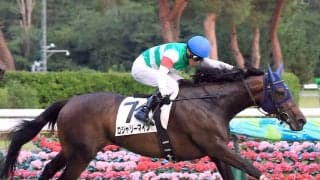 ２レース連続で３連単２００万円超！「魔境やん」「クソ荒れてたｗ」「無理だ」　暑熱対策初日の新潟競馬にネット驚がく