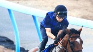 【関屋記念】混戦必至！前日最終オッズの単勝１番人気はダノンセンチュリーで４・１倍も３連単は人気が割れ模様