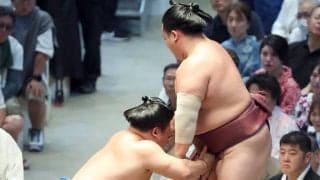 東前頭筆頭・藤ノ川が７勝７敗　勝ち越せば新三役近づくだけに「次の番付を意識したい」