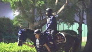 【キングジョージ】直線で力尽きたマスカレードボールは７着　ルメール騎手は「坂まで一生懸命過ぎた」と悔やむ　