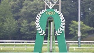 【盛岡・若鮎賞展望】マカヒキ産駒セイカールトンが重賞初制覇へ…キミノスキナアイスもV候補