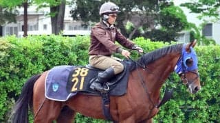 【２６日の注目・札幌６Ｒ】リステッド完敗の３・２億円馬が“原点回帰”の未勝利戦　兄はＧ１馬キラーアビリティ