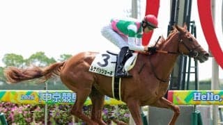 【中京２Ｒ・２歳新馬】牝馬のルナパッショーネが７馬身差の圧勝　坂井瑠星騎手「性格がよく、センスのいい馬」