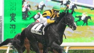 【新潟１Ｒ】１番人気に応えてリリカルフレアが完勝　初騎乗の戸崎圭太騎手「これからが楽しみな馬」
