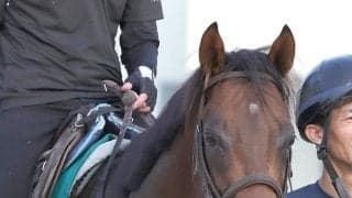 【中京２Ｒ・２歳新馬】ダノンデサイルの弟ダノンチャンピオンは４着　横山武史騎手「背中のよさはありますが...」