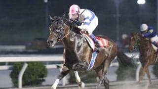 【高知競馬】コパノハンプトンが移籍後４連勝　赤岡修次騎手「最後までしっかり脚を使ってくれました」　高知７Ｒ・五台山特別