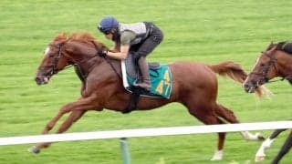 【札幌５Ｒ・２歳新馬】怪物候補のフライトライン産駒サトノフルークが２着　「イメージと違う競馬に」佐々木大輔騎手悔やむ