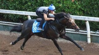 日曜中京競馬場の注目激走馬…中京７Ｒ東海ステークス・Ｇ３