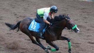 日曜新潟競馬場の注目激走馬…新潟７Ｒ関屋記念・Ｇ３