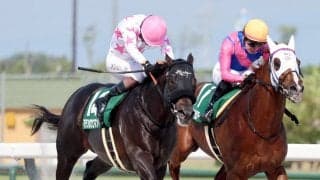 【東海Ｓ】７番人気マテンロウコマンドがＪＲＡ重賞初Ｖ　松山弘平騎手「中央の馬場だとしんどいと思っていましたけど...」