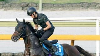 【東海Ｓ】「明らかに熱中症でした」川田将雅騎手騎乗の２番人気ダノンフィーゴは１０着　２つめのタイトルには届かず